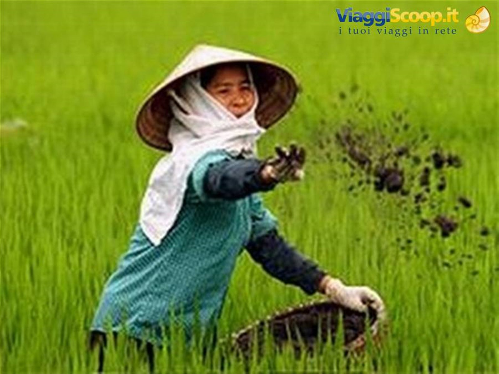 vietnam