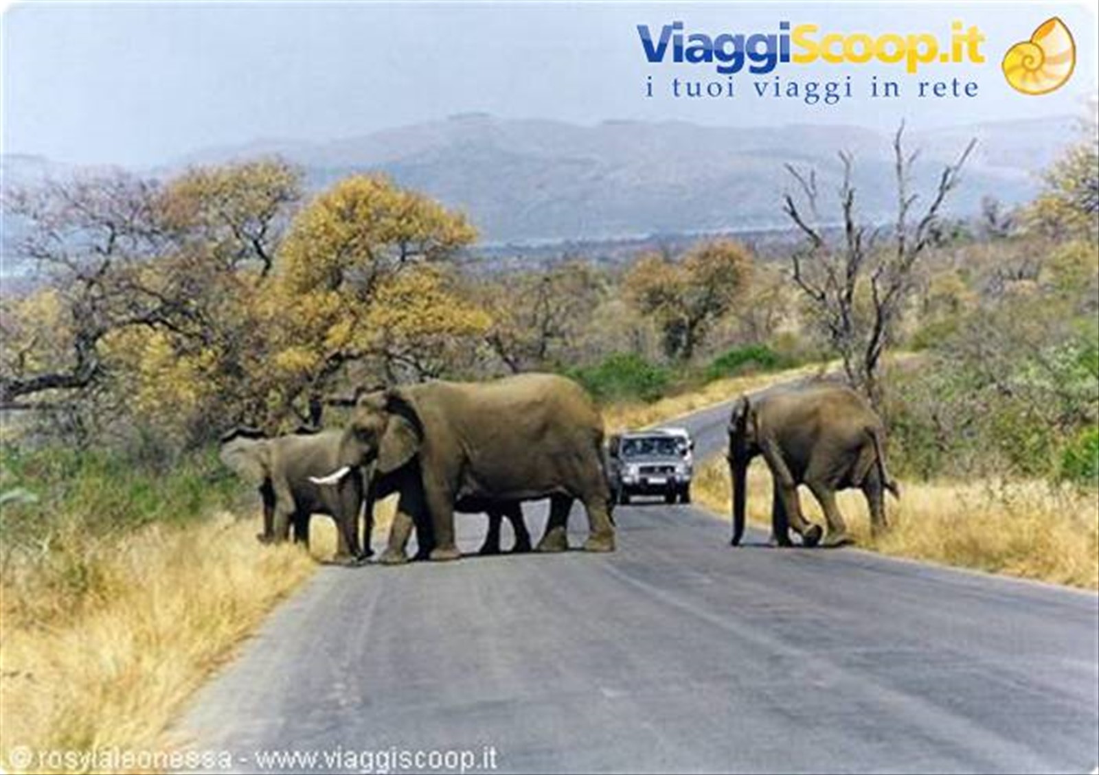 attraversamento nel Kruger....