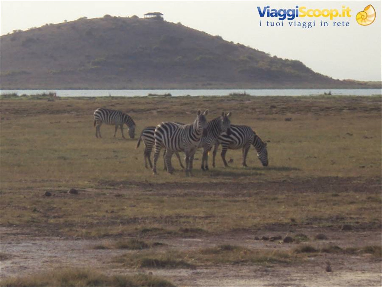 amboseli