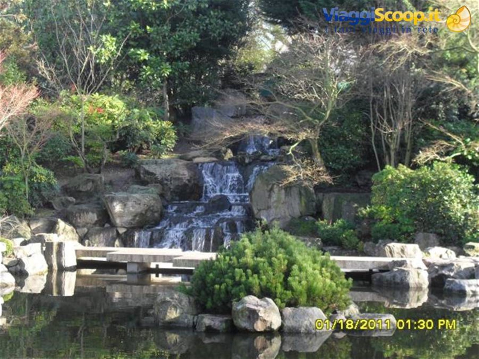 Kyoto gardnes