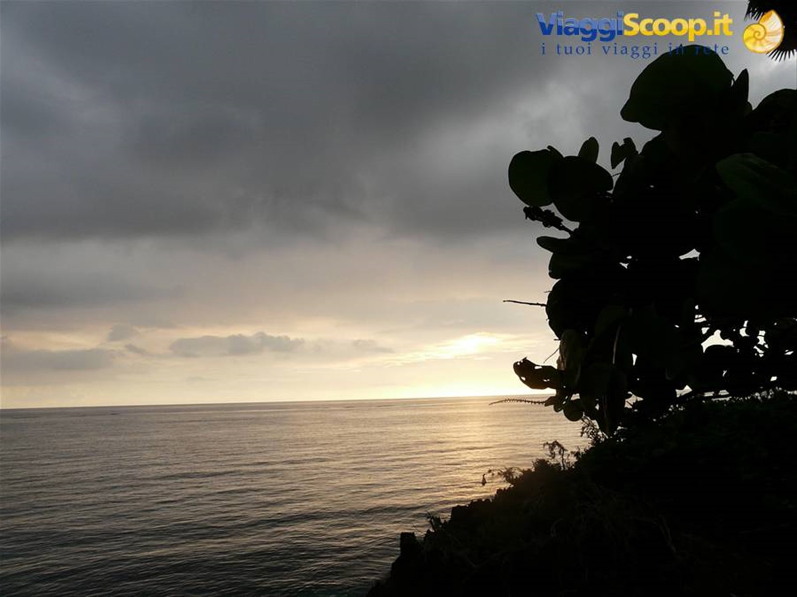 PLAYA MAGUANA