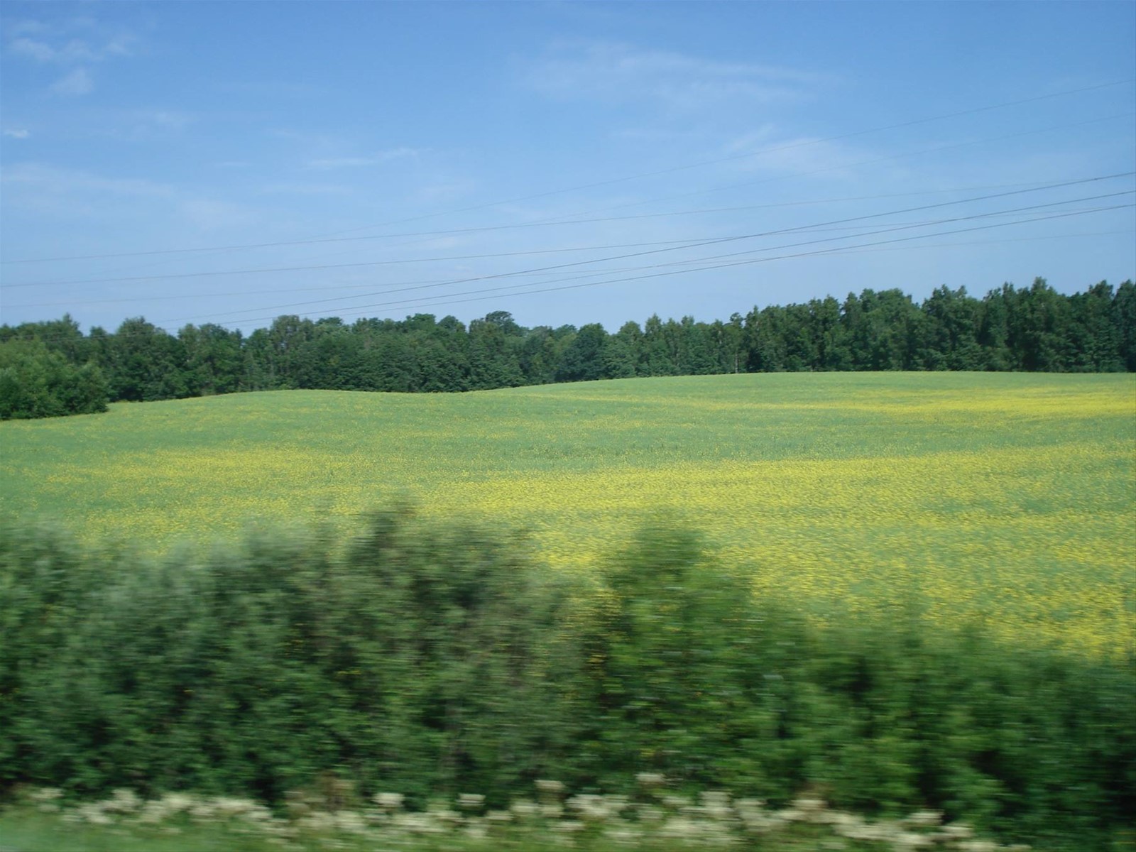 Foto di viaggio in LITUANIA