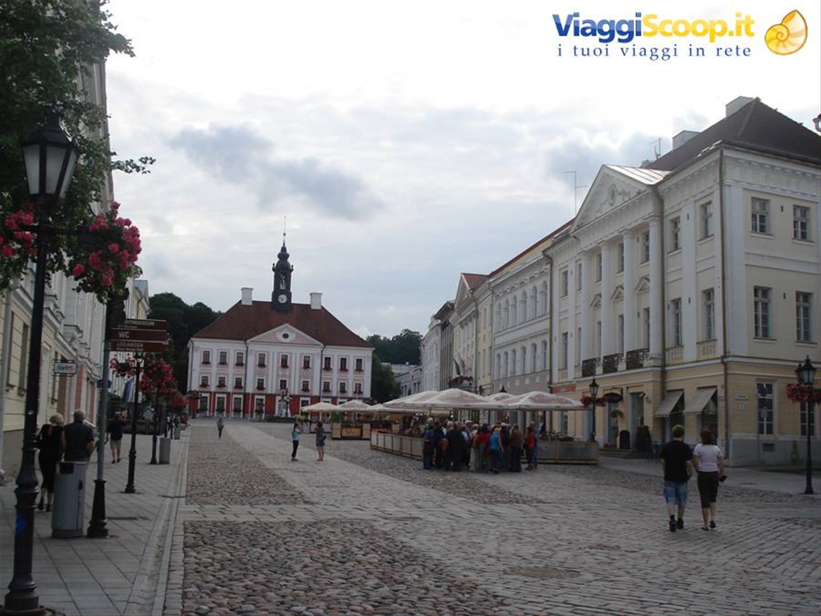 Foto di viaggio in ESTONIA