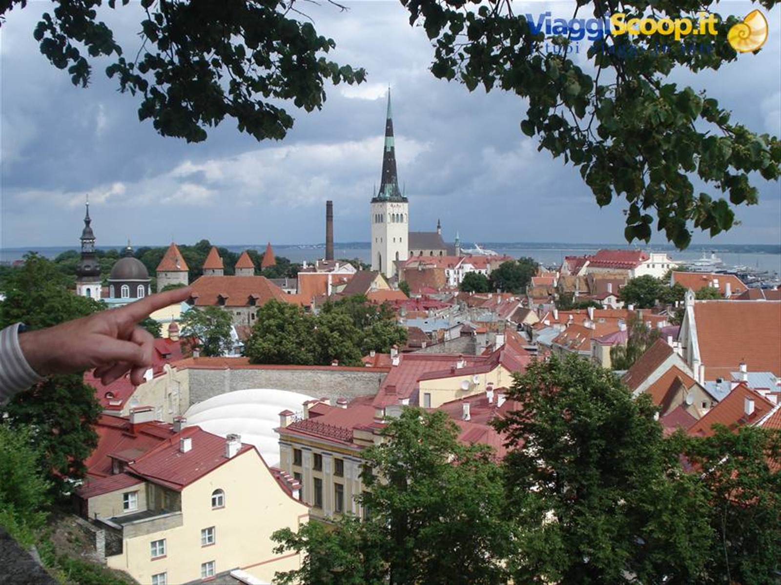 Foto di viaggio in ESTONIA