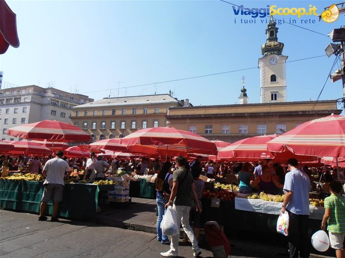 Dolanc piazza del mercato 