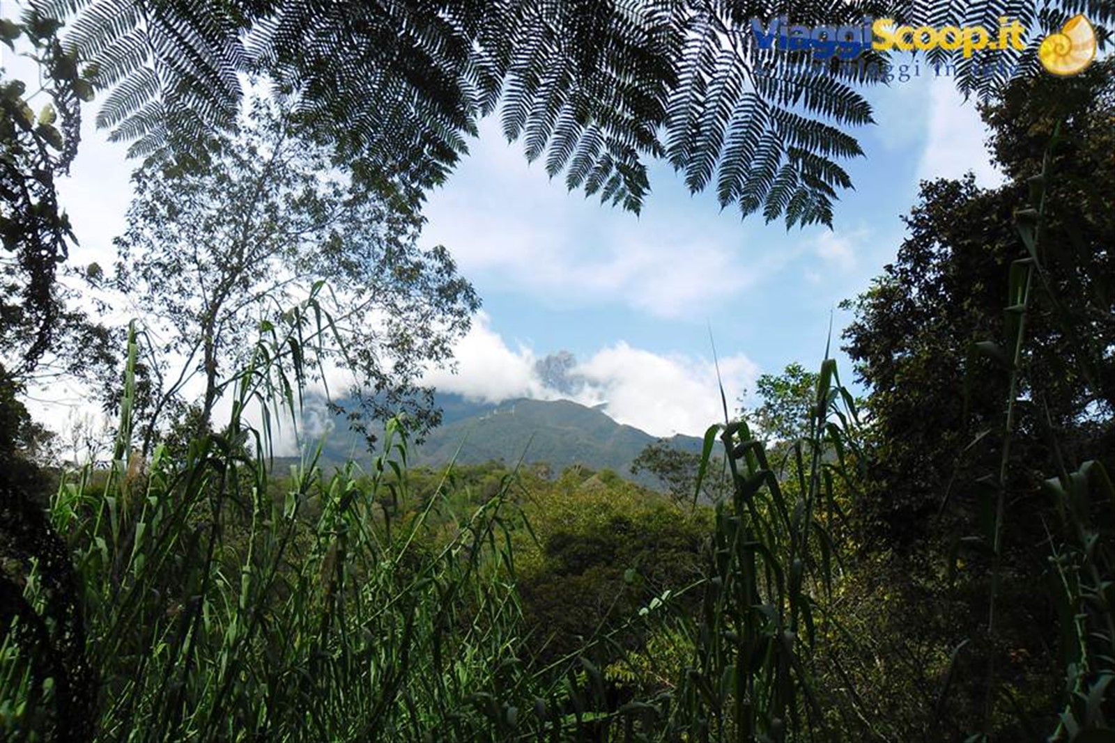 il monte Kinabalu nel Sabah,Borneo malese
