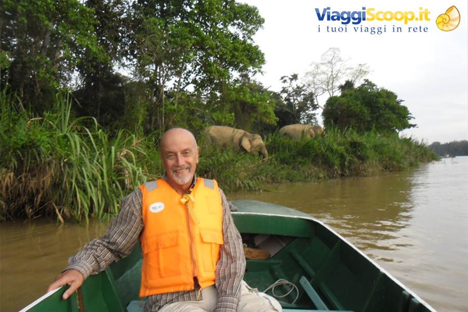il Kinabatangan river nel Sabah, Borneo malese con gli elefanti pigmei