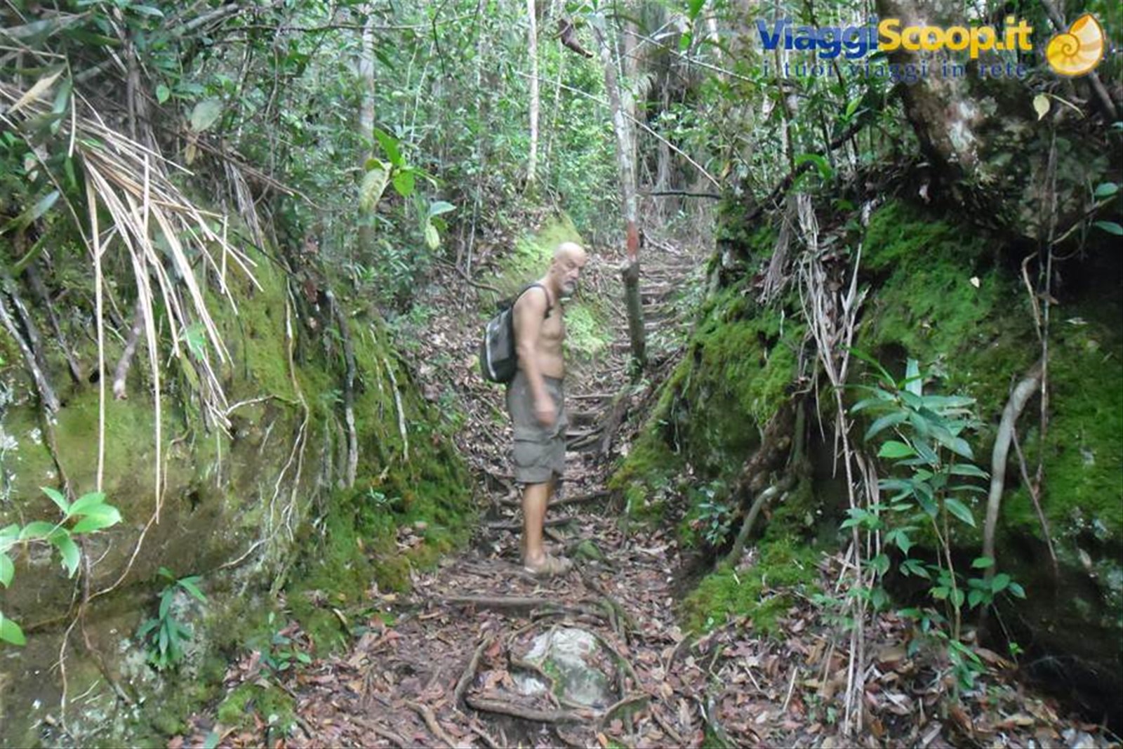 trekking nel parko Bako nei pressi di Kuching, Sarawak,Borneo malese