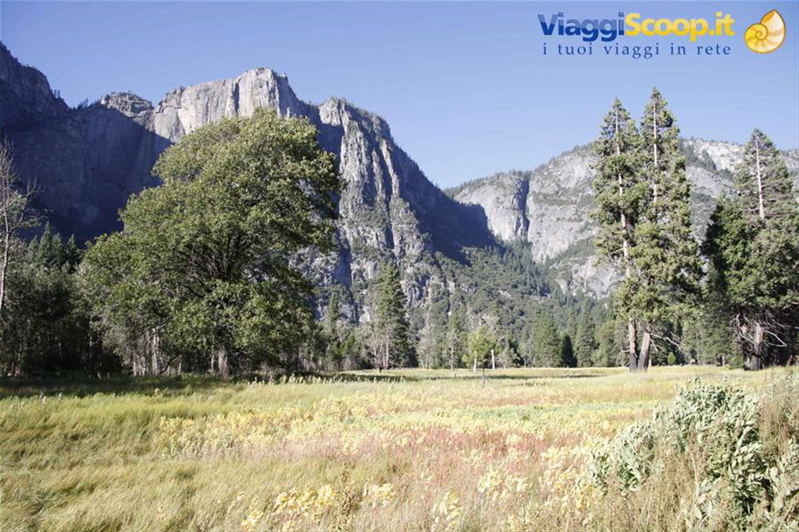 valley, yosemite park