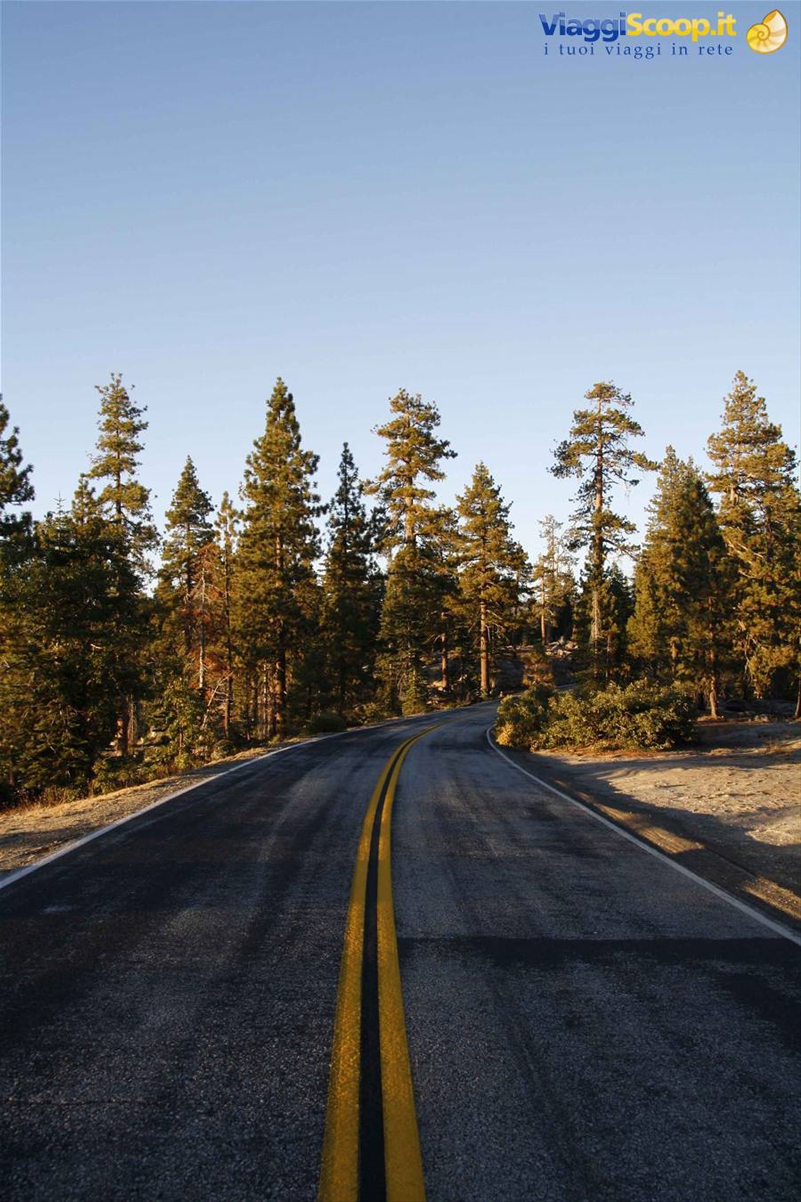 Tioga road
