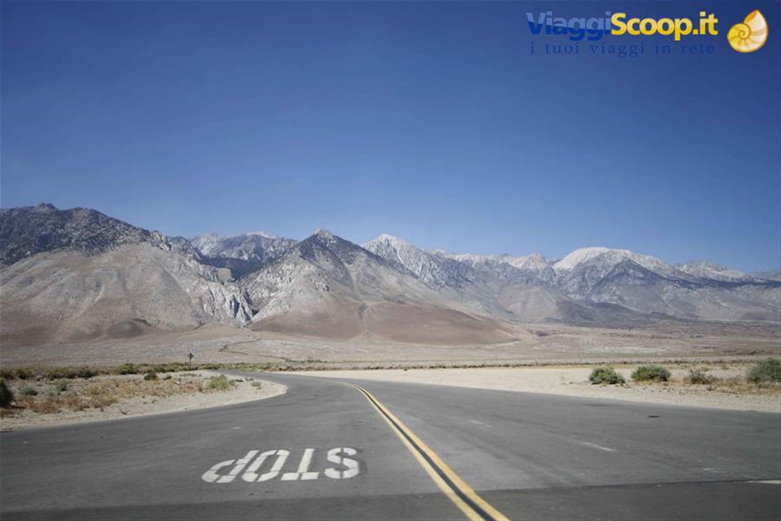 Foto di viaggio in STATI UNITI D'AMERICA