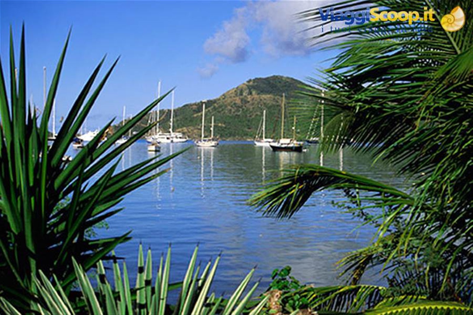 Catamarano ai Caraibi - Catamaranocaraibi.com