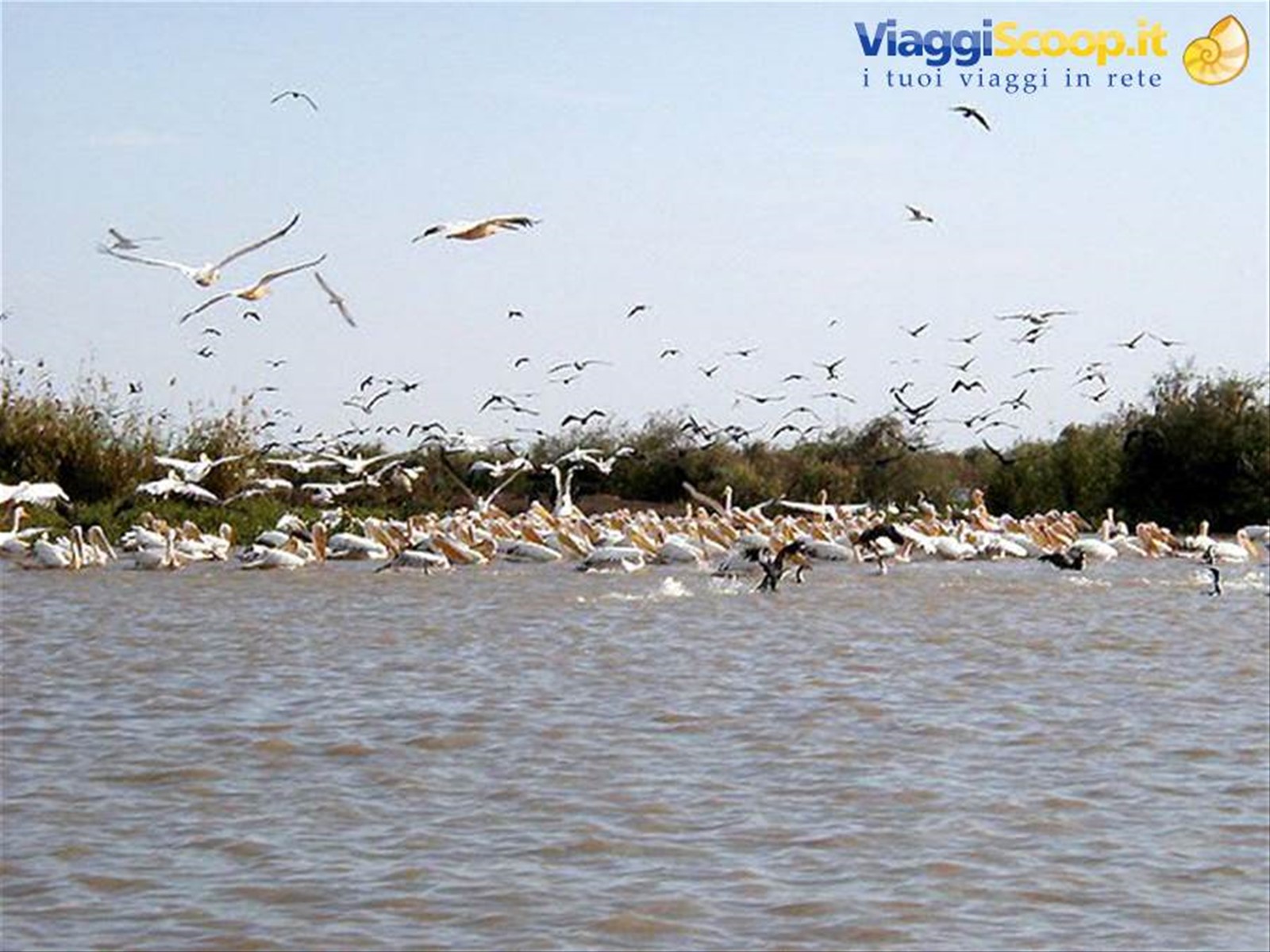 Foto di viaggio in SENEGAL
