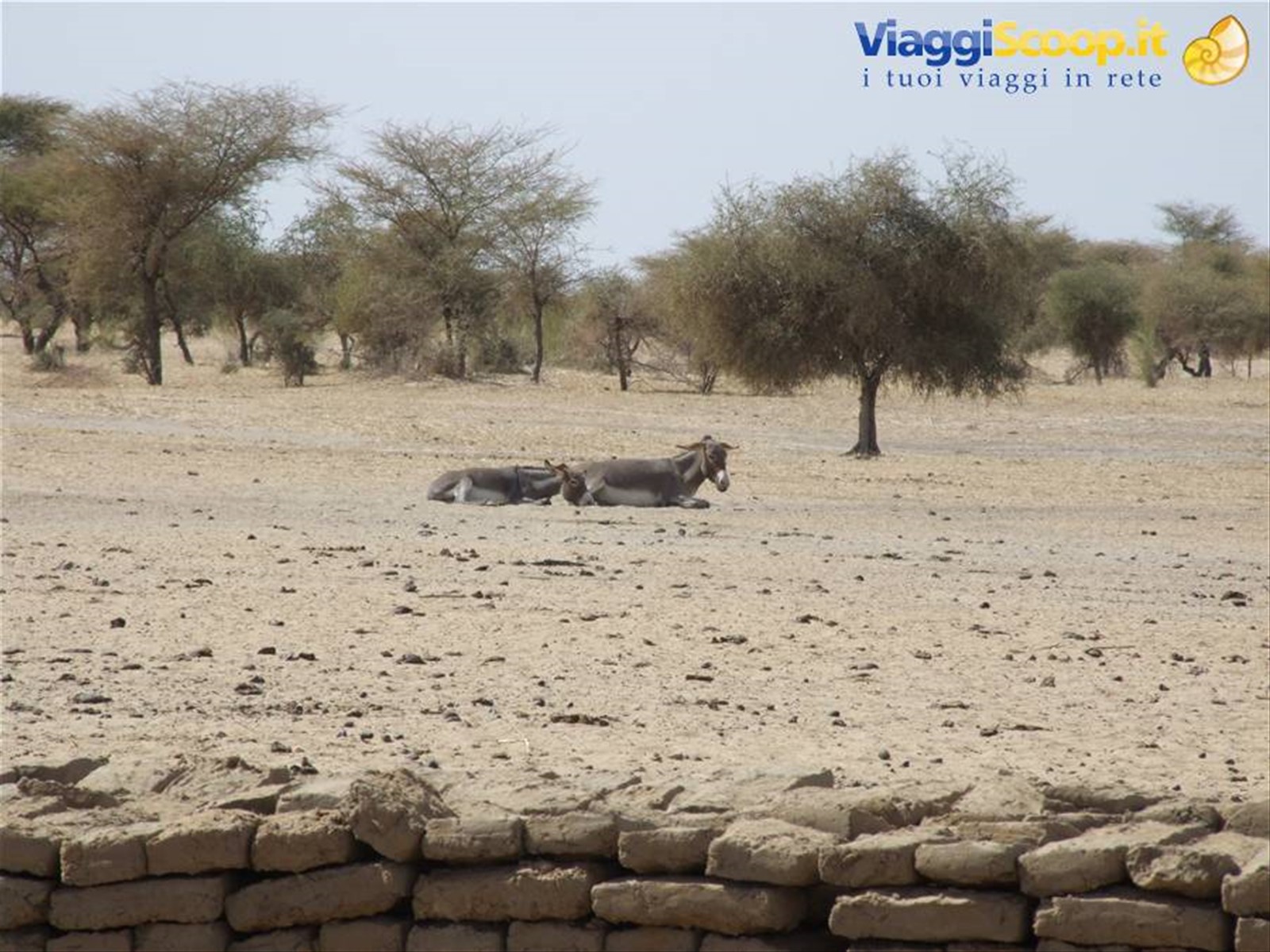 Foto di viaggio in SENEGAL