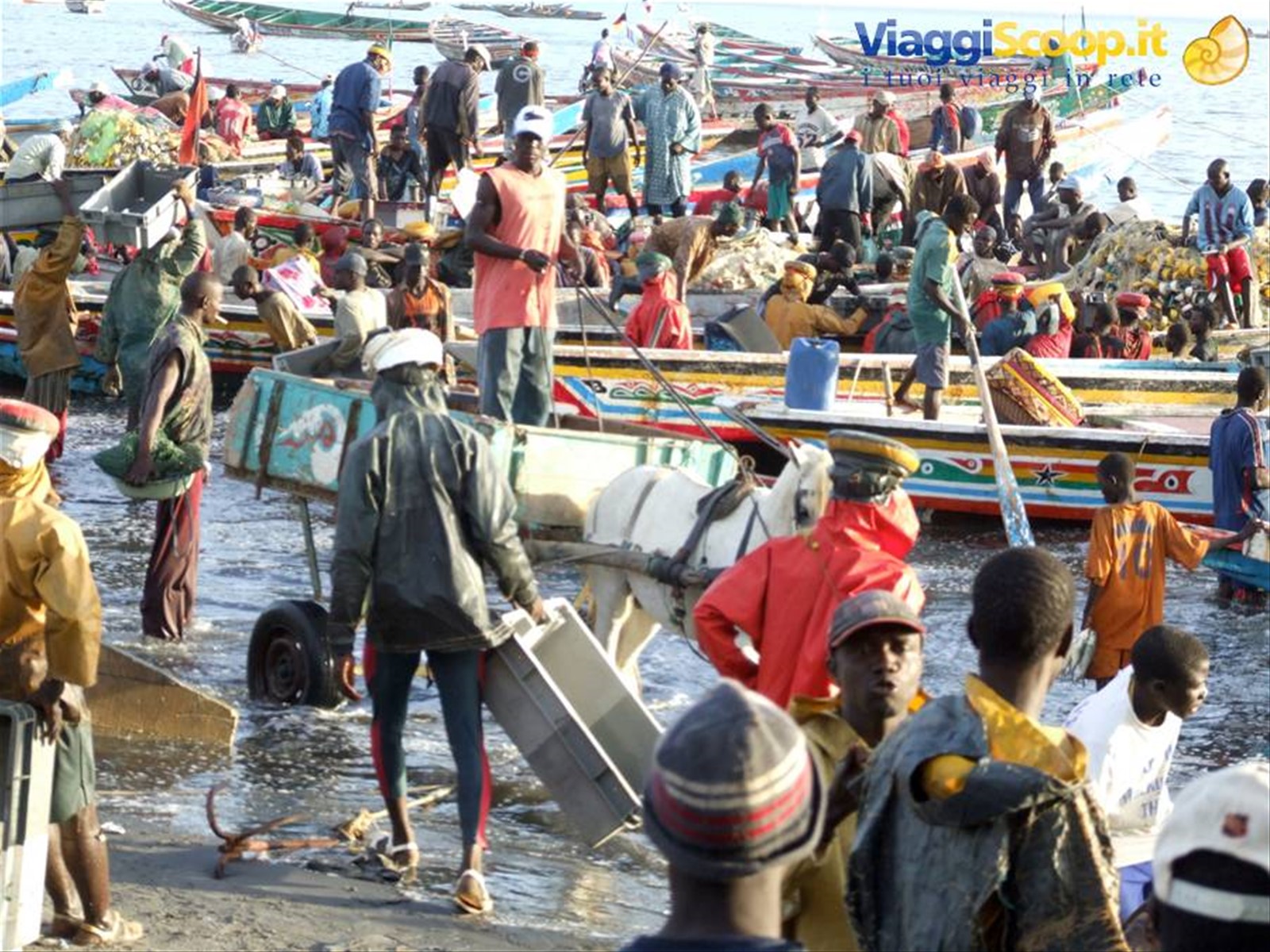 Foto di viaggio in SENEGAL