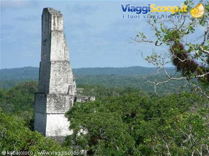 Tikal (Guatemala): le piramidi e la giungla