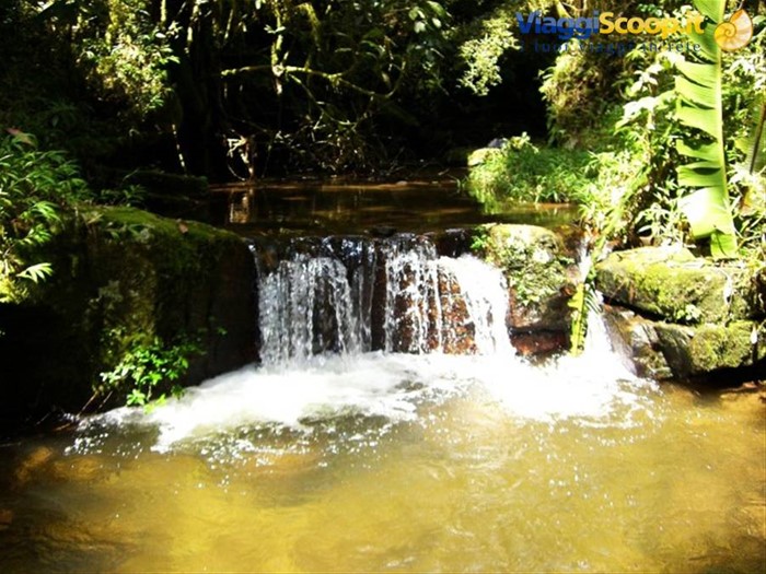 Parco Ranomafana