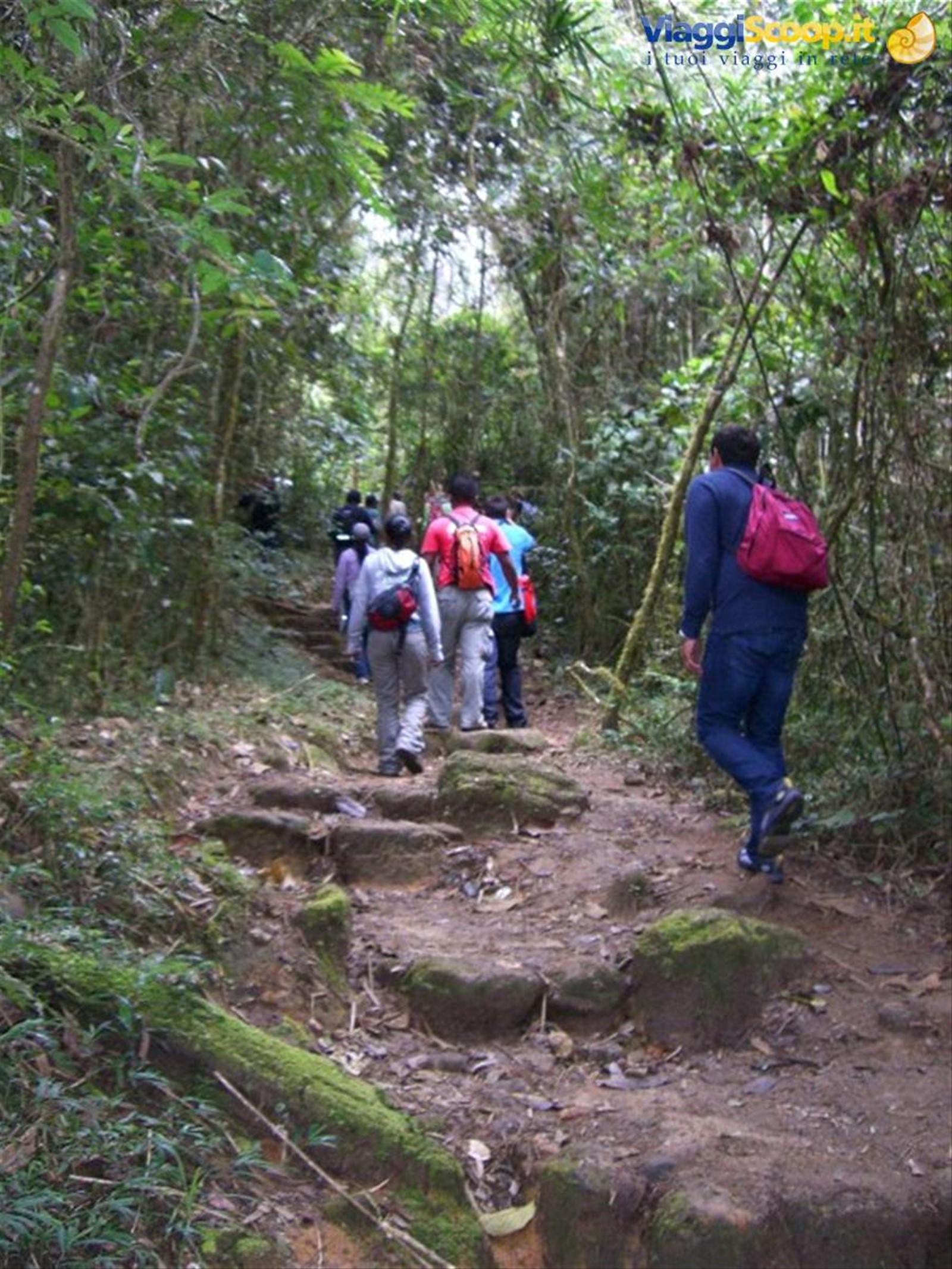 Parco Ranomafana, salita