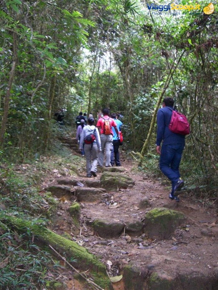 Parco Ranomafana, salita
