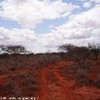 foto viaggio KENYA