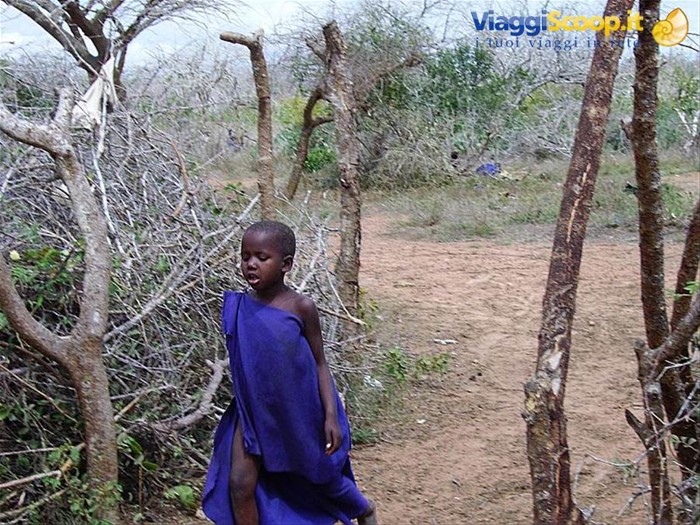 Il piccolo Maasai