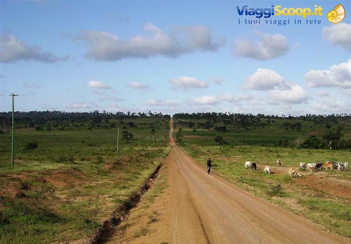 Oasi del Kenya