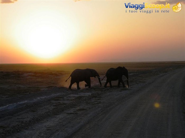 tramonto in amboseli