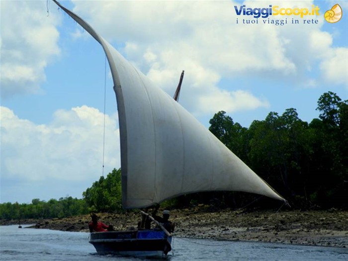 Dhow in navigazione