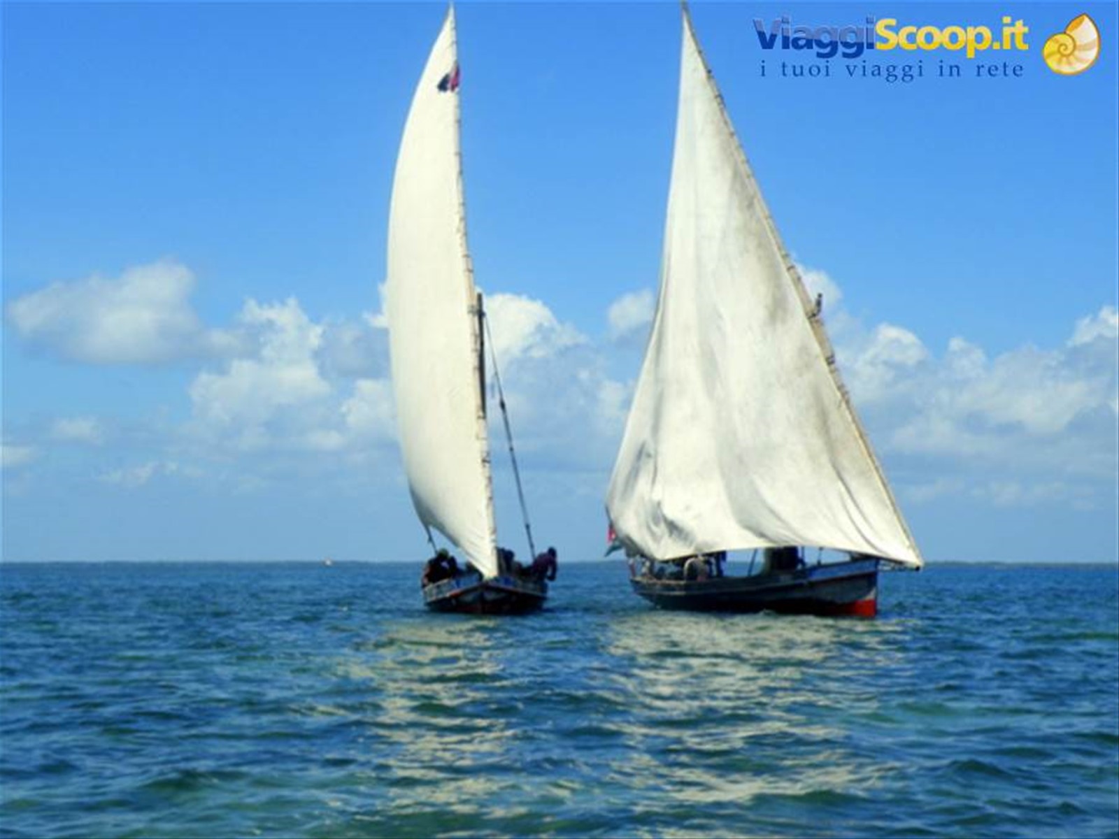 regata tra dhow