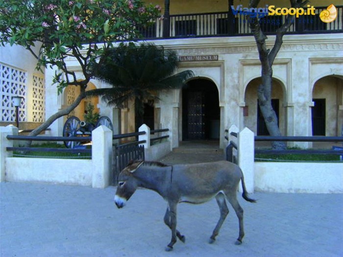 Swahili House Museum