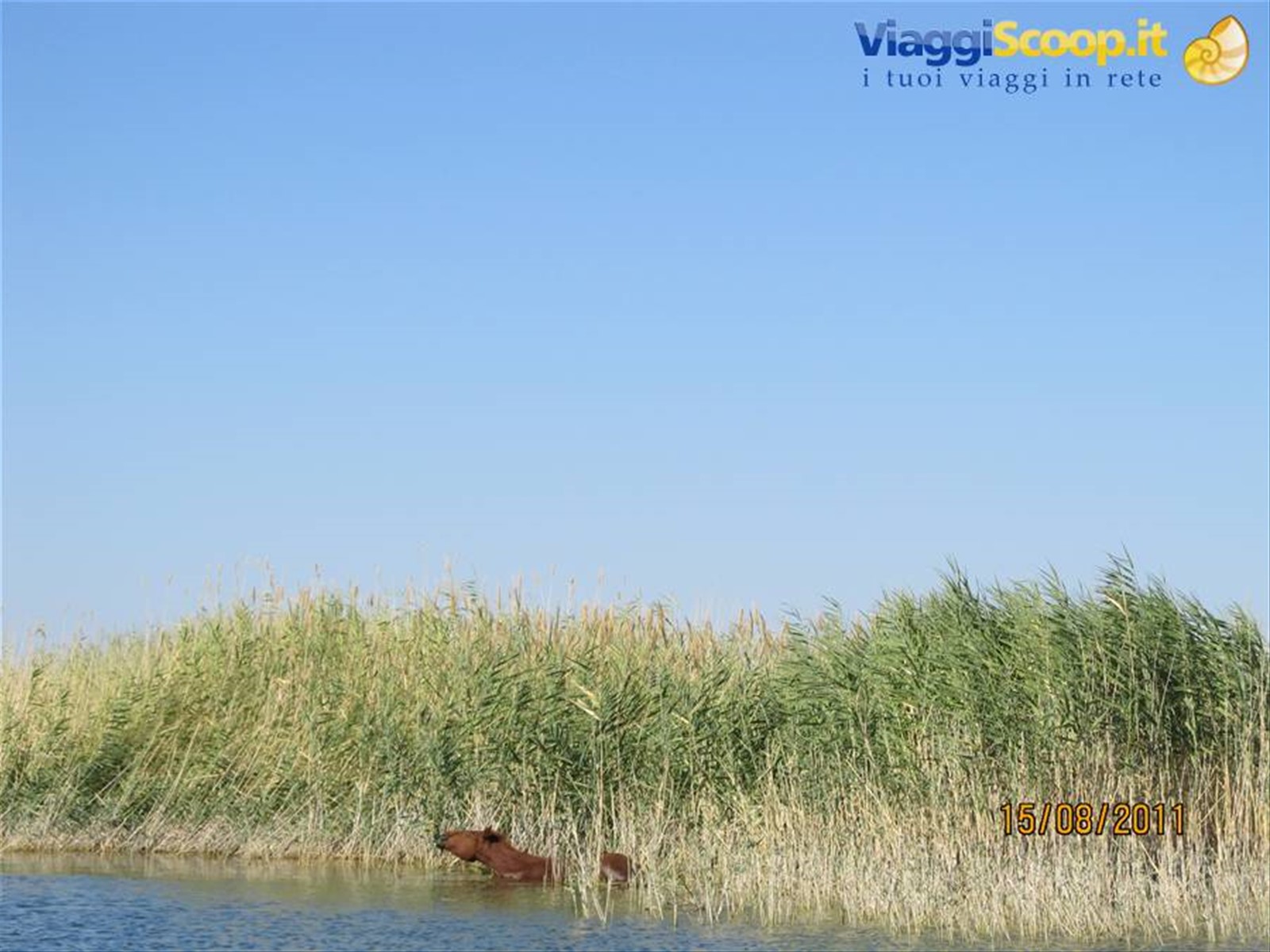 Foto di viaggio in UZBEKISTAN