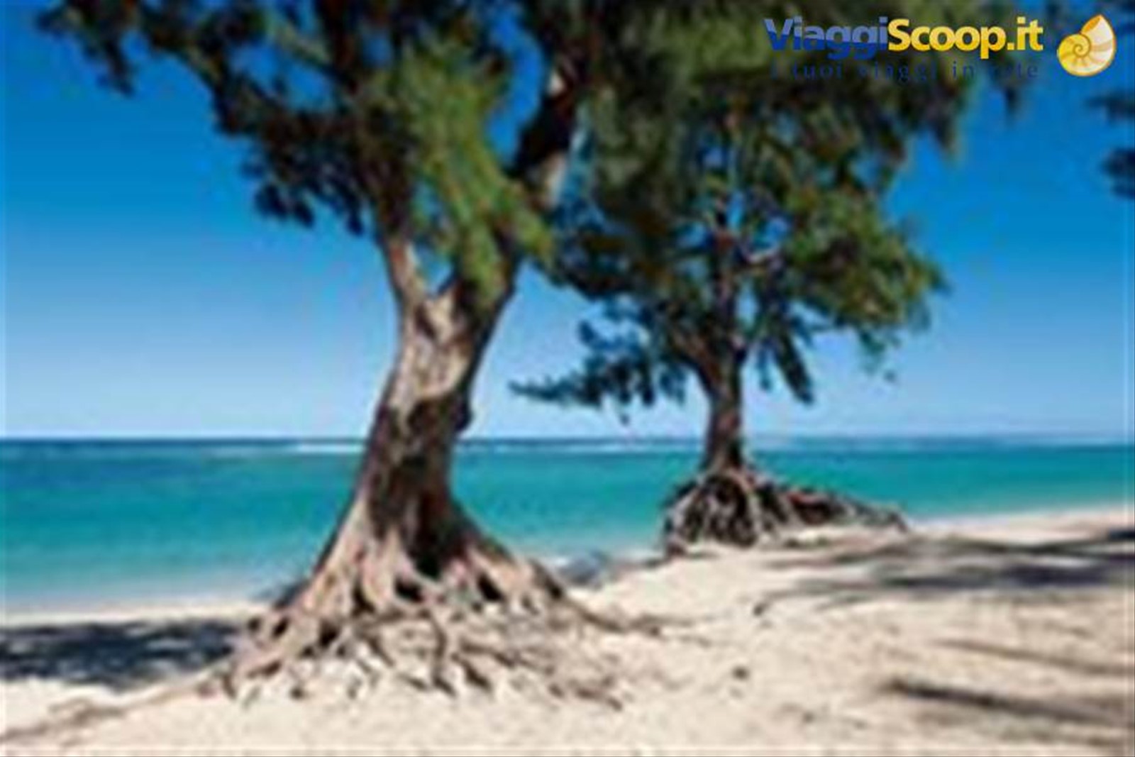 Spiaggia dell'Ermitage a Saint-Gilles-Les-Bains