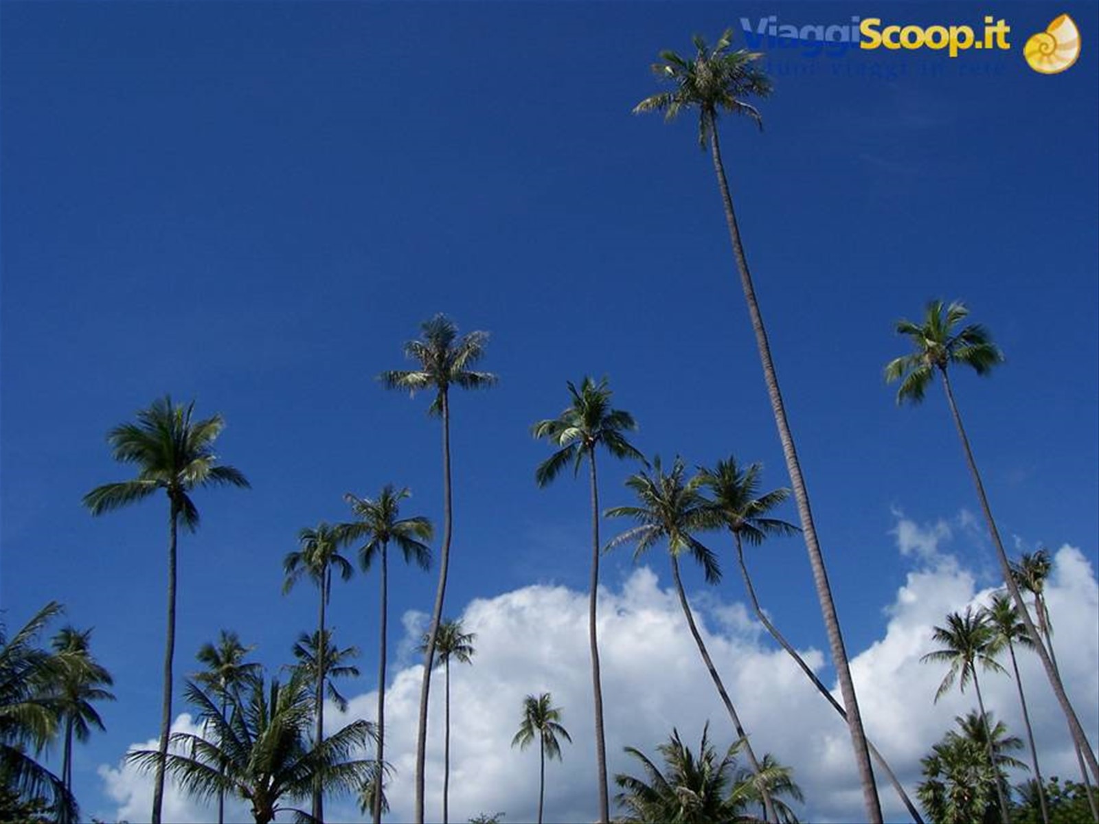 Foto di viaggio in TAILANDIA