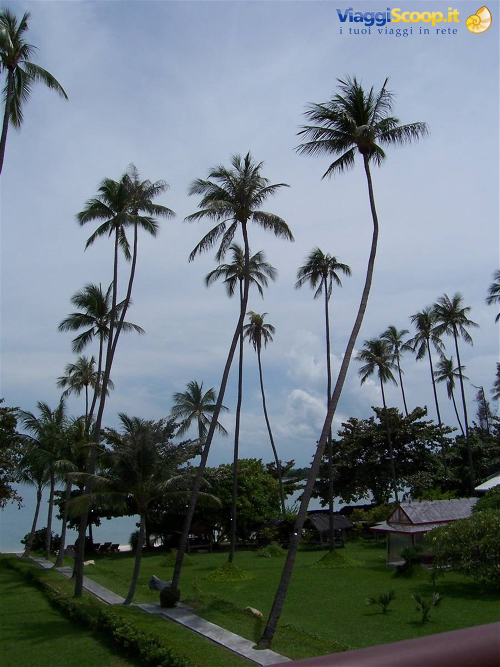 Foto di viaggio in TAILANDIA
