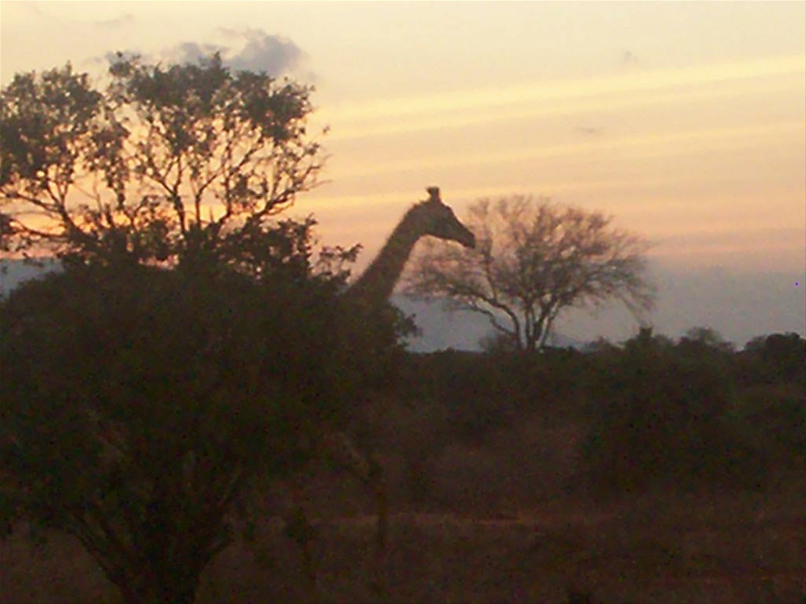 tramonto