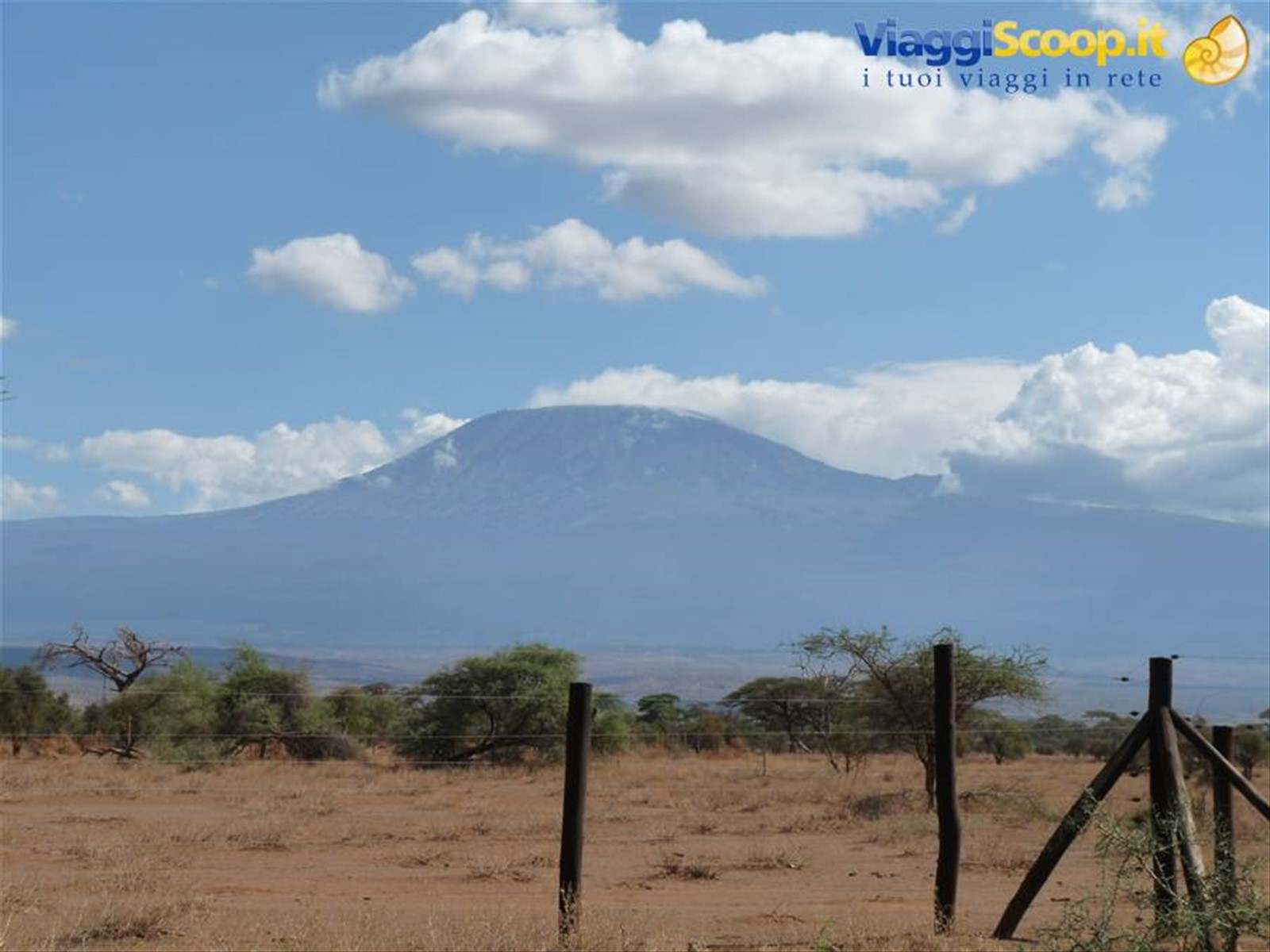 kilimanjaro
