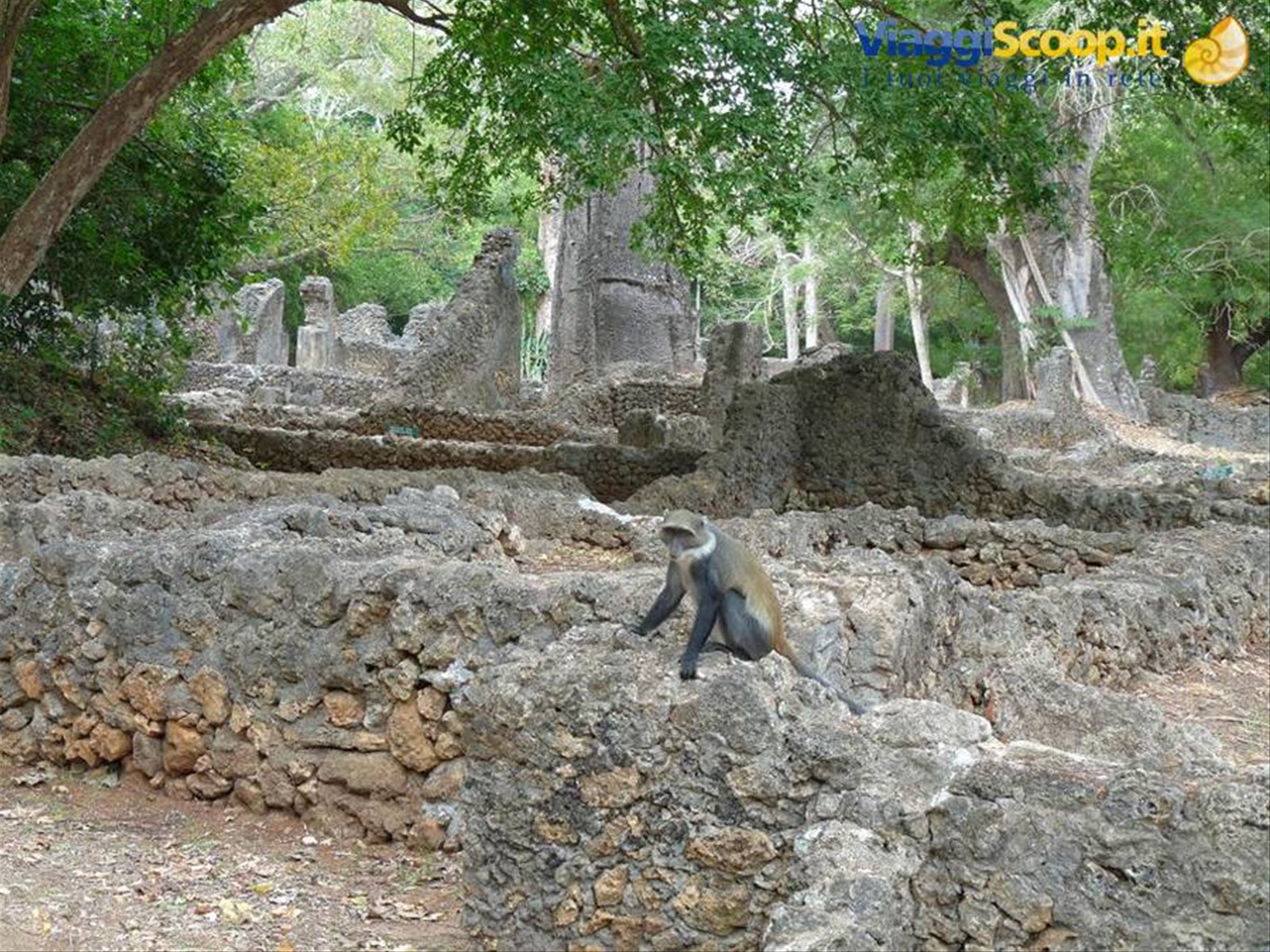 rovine di Gede