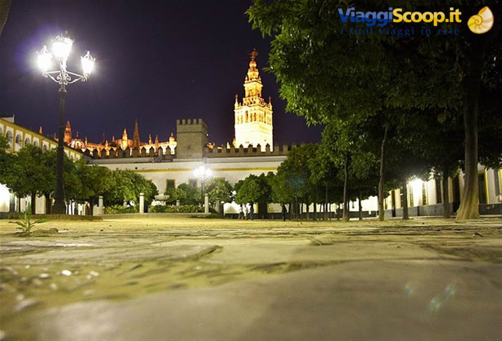 Cattedrale di Siviglia