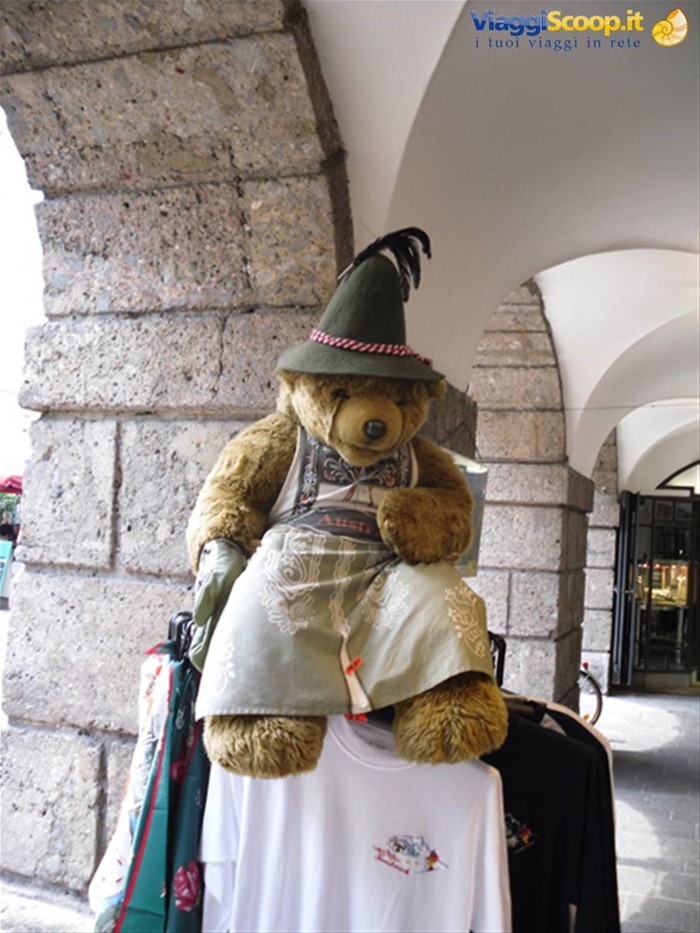 orso tirolese