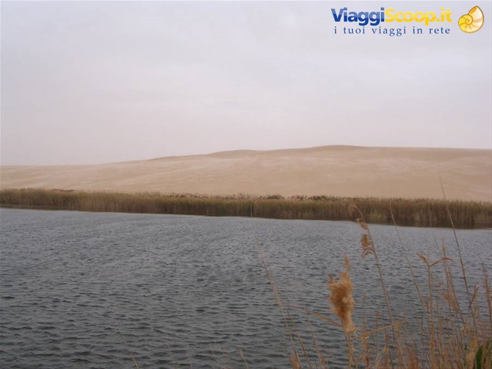 Bir wahe, lago nel Sahara