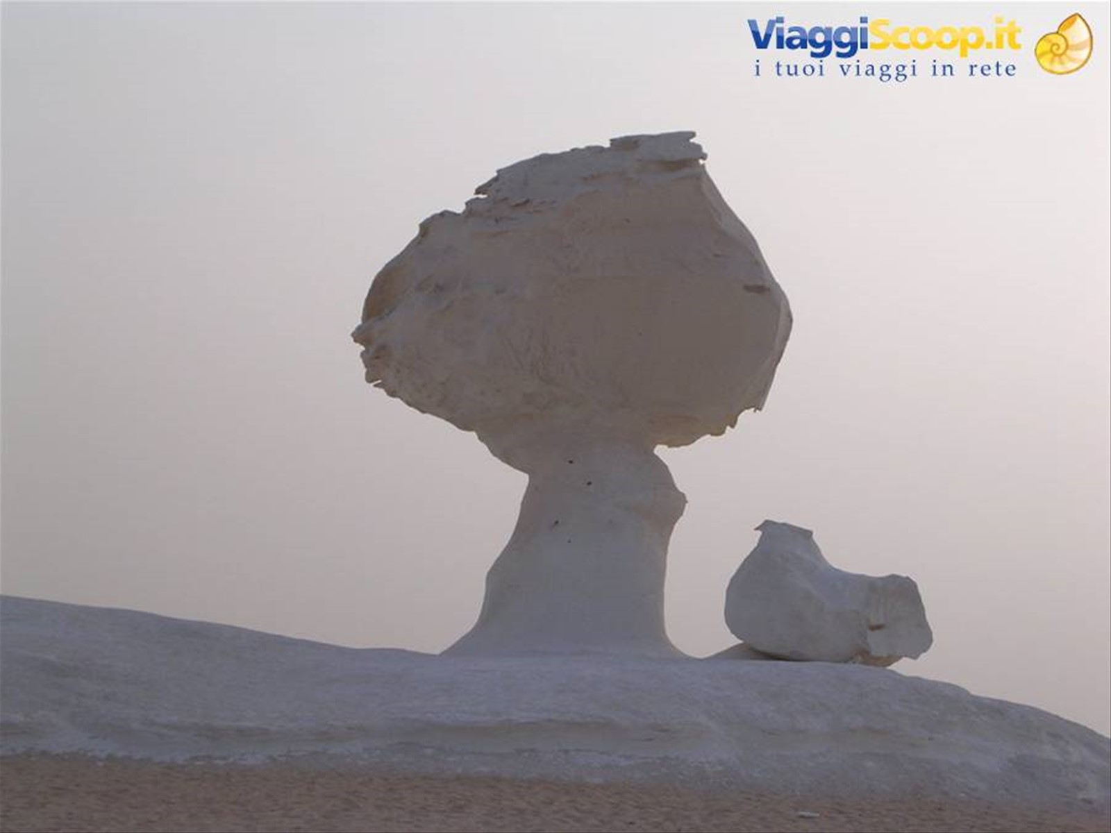 deserto bianco:l'albero e la gallina