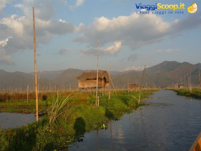 gli orti galleggianti del lago Inle