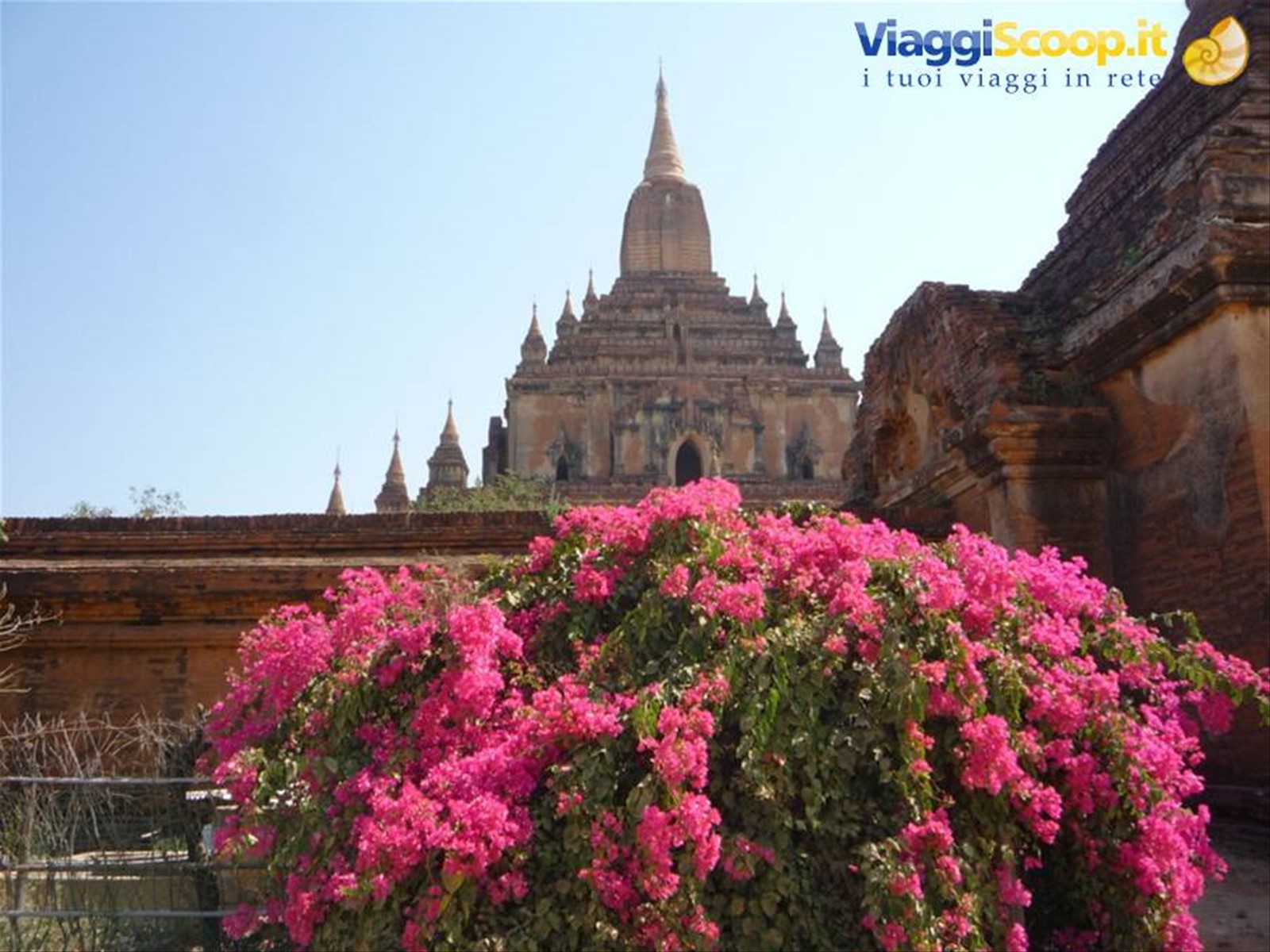 Bagan: Ananda Patho