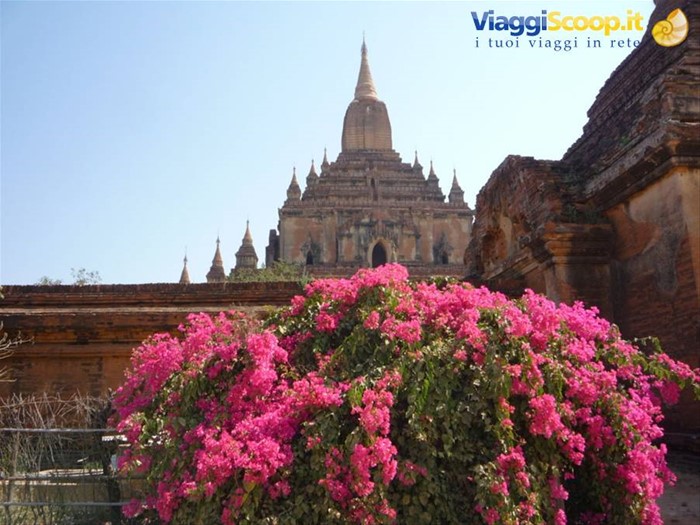 Bagan: Ananda Patho
