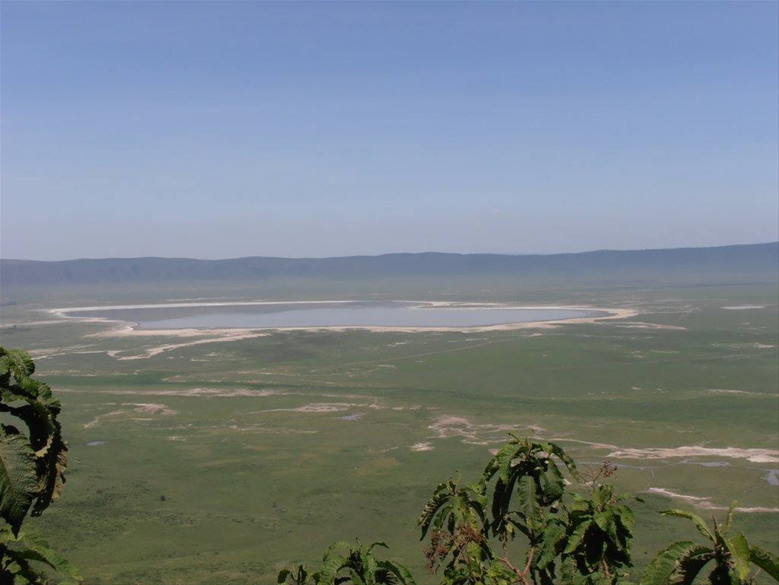 cratere di Ngorongoro
