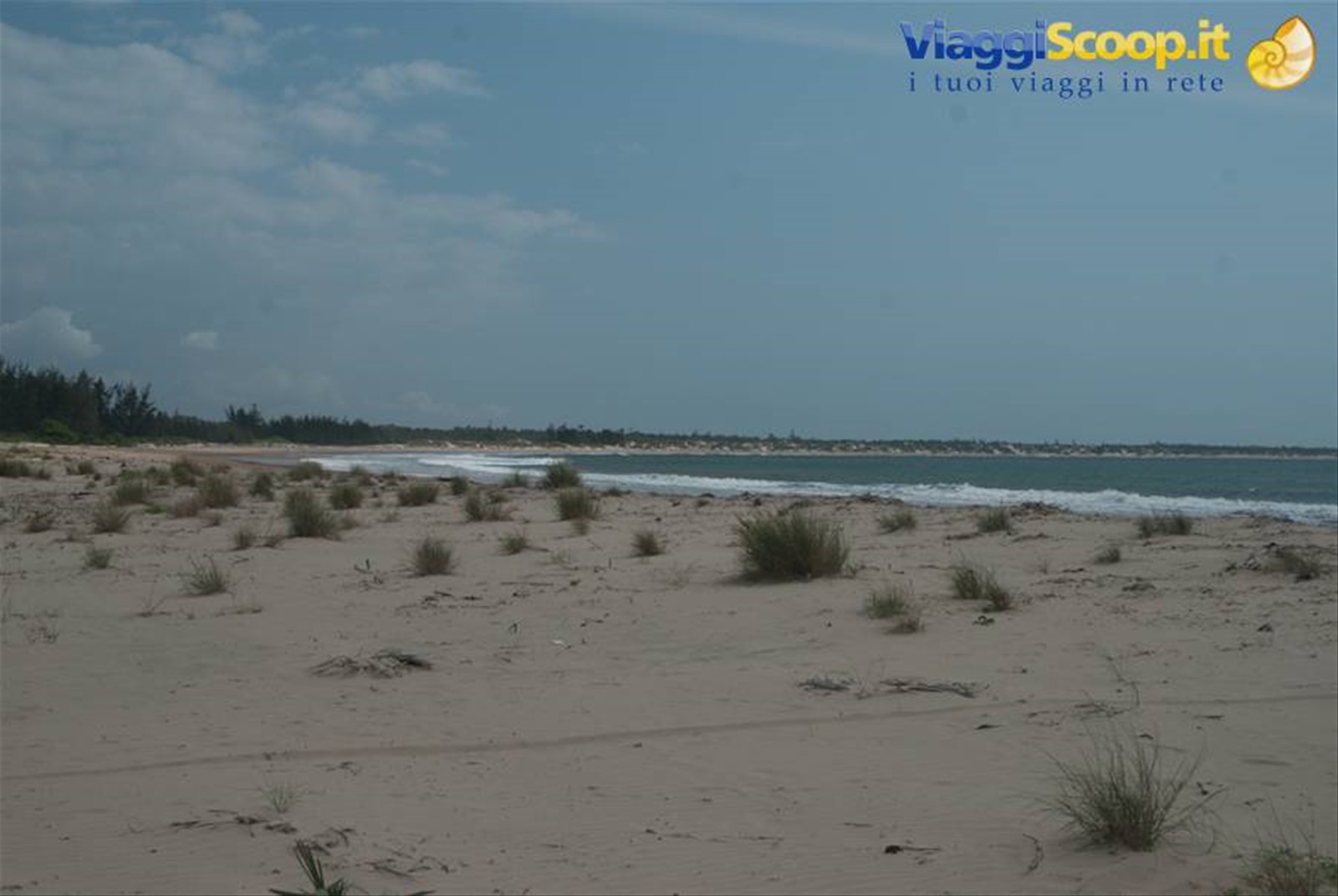 spiaggia dorata