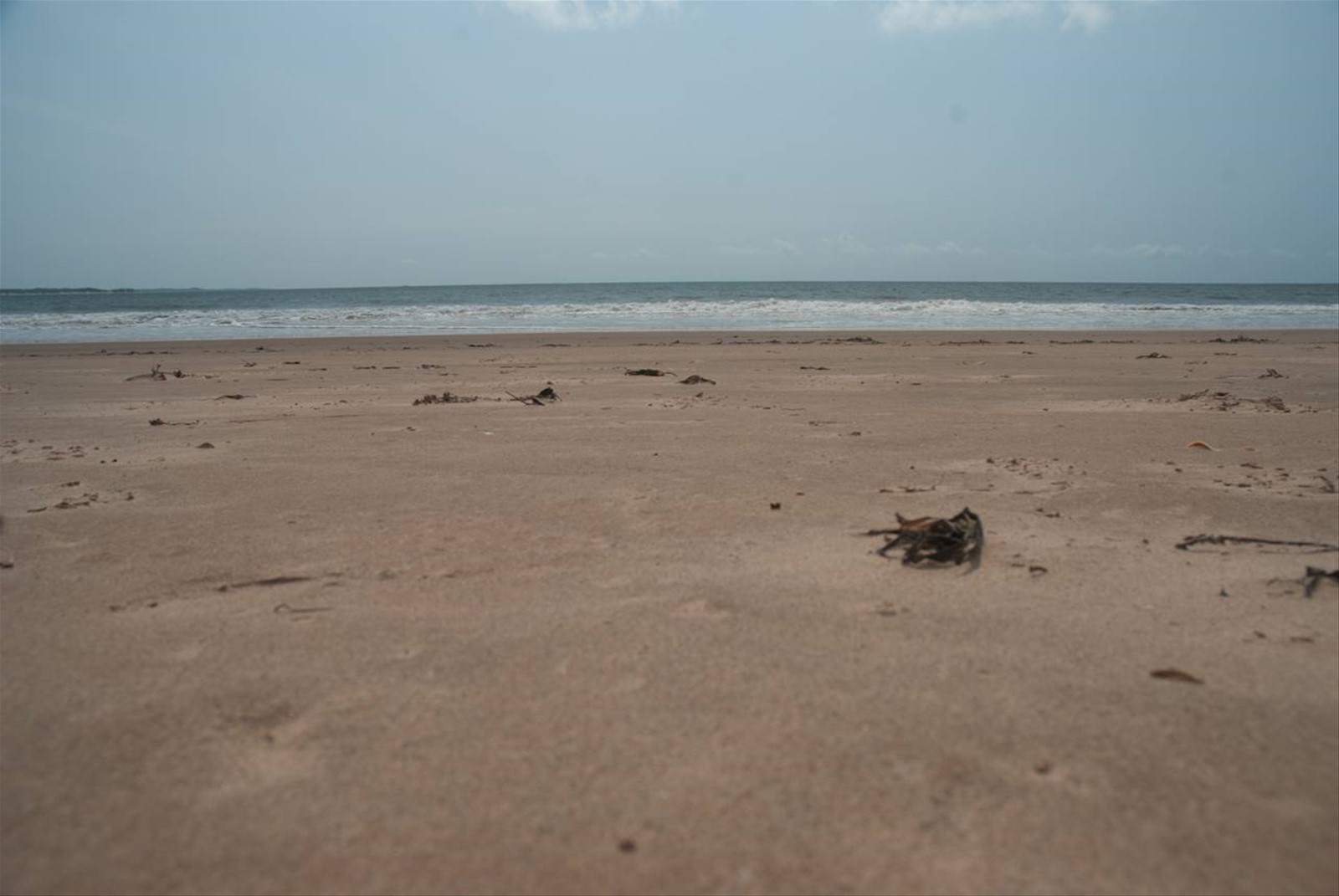 spiaggia dorata