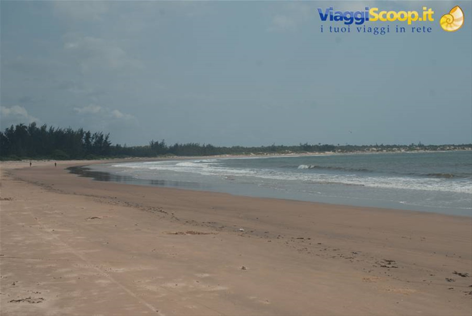 spiaggia dorata
