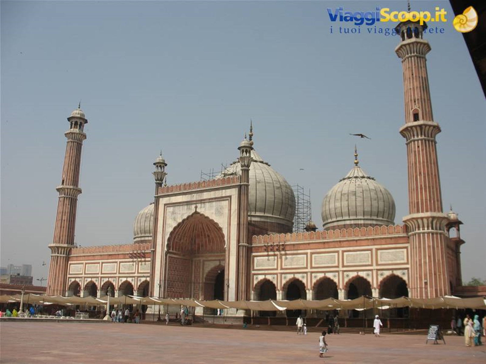 Delhi - Jama Masjid