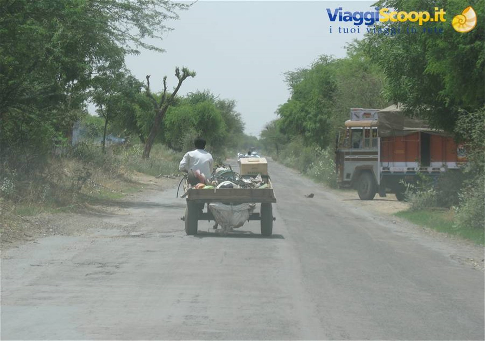 Strada Delhi - Nawalgarh